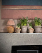 Verona Rattan